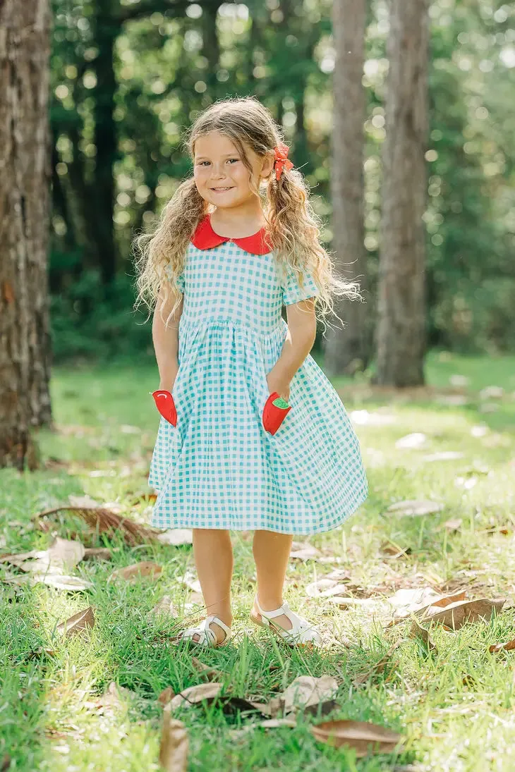 Blue Gingham Apple Pocket Twirl Dress