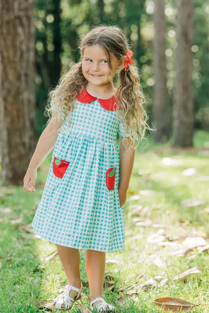Blue Gingham Apple Pocket Twirl Dress