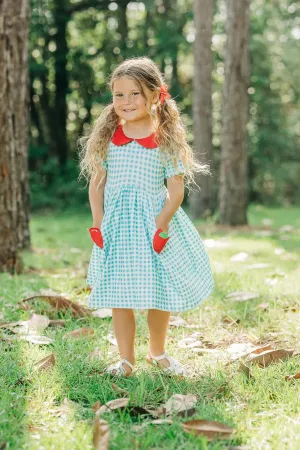 Blue Gingham Apple Pocket Twirl Dress