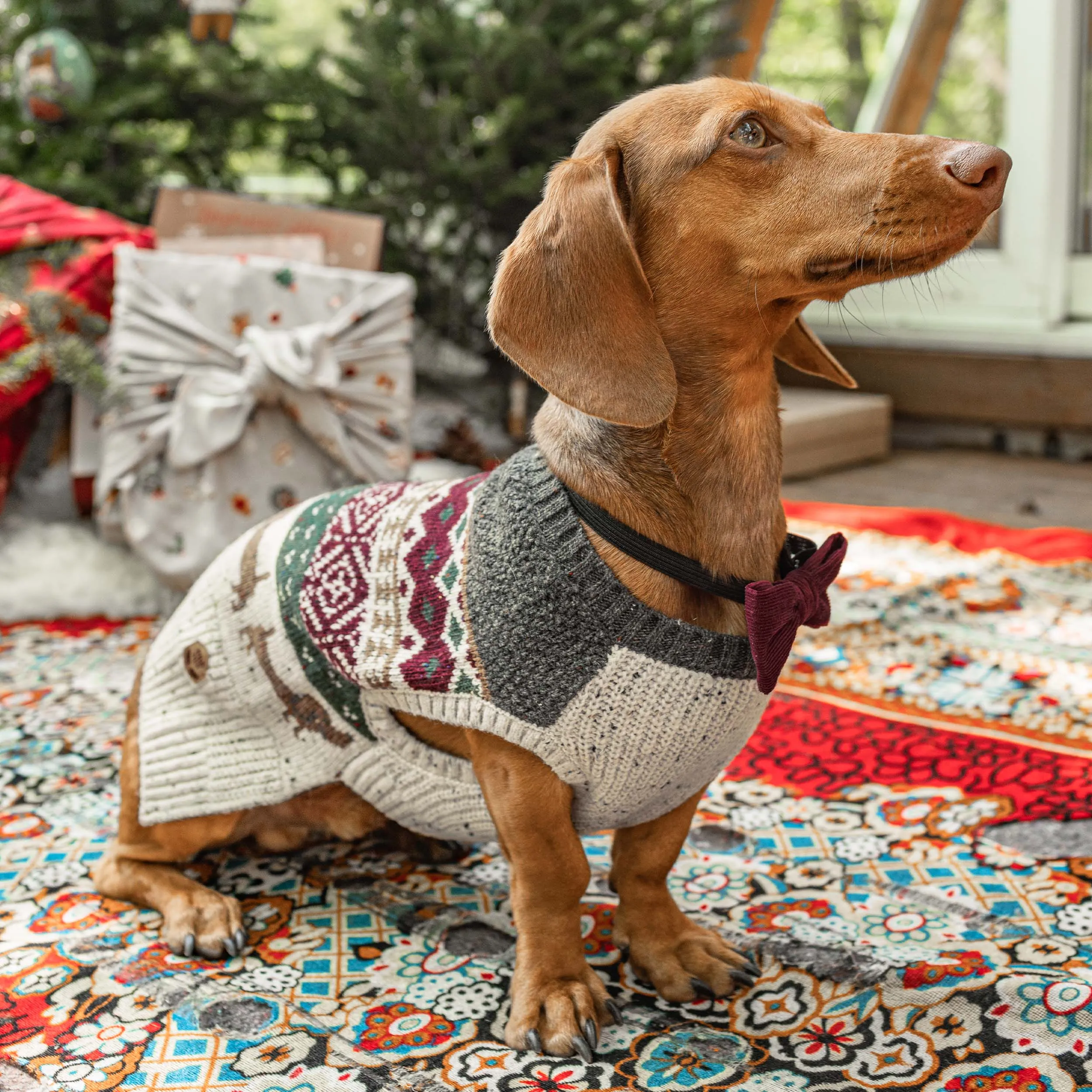 Chandail de maille gris à motif Jacquard pour animaux de compagnie || Gray knitted sweater with Jacquard pattern for pets
