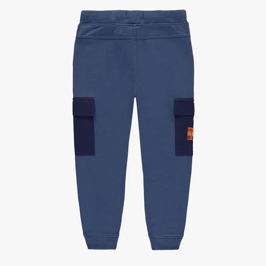 Souris Mini Boys French Terry Regular Fit Joggers - Blue